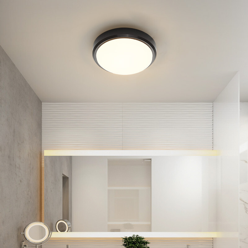 bathroom ceiling light